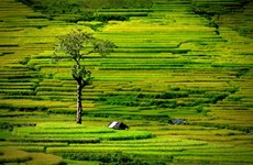 安沛省——西北地区充满吸引力的目的地
