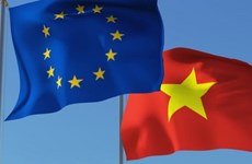 欧盟议会人权分委会与越南加强对话和交流
