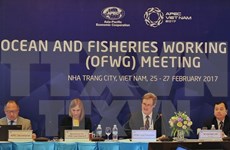 2017年越南APEC峰会：确保亚太地区渔业资源可持续发展