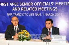 APEC秘书处执行长波拉德：越南充分发挥协调作用成为APEC 成员经济体的沟通桥梁