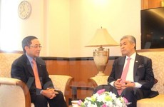 马来西亚副总理：越马两国合作潜力仍然巨大