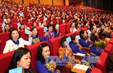 第十二次越南全国妇女代表大会选举产生新一届妇联执行委员会