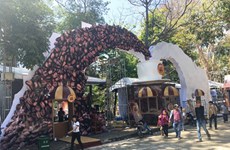 “邦美蜀咖啡与西原锣钲文化”艺术图片展在得乐省举行
