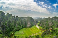 《金刚-骷髅岛》正式上映：越南宁平省发展旅游业的良好机会