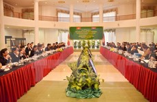  越柬经济文化科技混合委员会第15次会议：深化睦邻友好促进全面合作