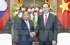 越南国家主席陈大光会见老挝安全部部长