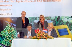 胡志明市与荷兰加强农业与信息技术合作