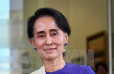 缅甸公布议会补选结果  民盟赢得9个议席