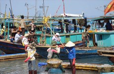 广宁姑苏的海蜇捕捞业