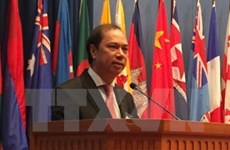 越南出席在印度举行的“向东行动”对话会