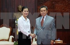 越南祖国阵线与老挝建国阵线合作 加大2017年各大事件宣传力度