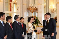 越南国会主席阮氏金银会见匈牙利总统阿戴尔•亚诺什