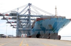 越南巴地头顿省新集装箱码头迎来首艘巨型集装箱船