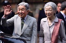 日本天皇和皇后设茶宴庆祝访越取得圆满成功
