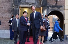 越南政府副总理郑廷勇会见荷兰首相马克·吕特