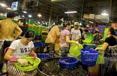 法国Semaris集团希望胡志明市平田将成为亚洲最大的批发市场