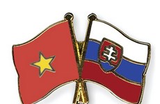 进一步加强越南与斯洛伐克的民间交流