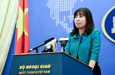 外交部发言人黎氏秋姮：越南坚决反对侵犯越南主权的活动