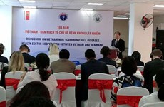 越南与丹麦加强合作  有效预防非传染性疾病