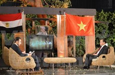 介绍胡志明主席事业生涯和越南风土人情节目在埃及国家电视台直播