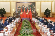 越南国家主席陈大光与中共中央总书记、中国国家主席习近平举行会谈