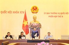  越南第十四届国会常务委员会第十次会议将于5月15日至17日召开