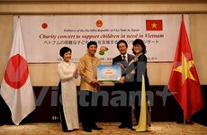 越南驻日本大使馆举行慈善音乐活动