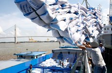 2017年菲律宾将进口80.5万吨大米