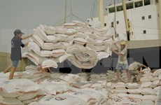 越南和孟加拉国续签大米贸易谅解备忘录