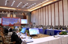 越南出席东盟打击跨国犯罪高官会议