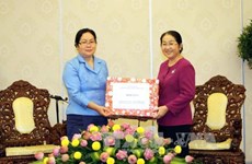  越老建交55周年：胡志明市与老挝各地联合开展系列庆祝活动
