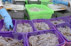  薄辽省将建设虾类养殖高科技农业园区