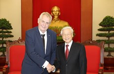 捷克重视巩固和发展对越南的传统友好合作关系