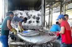 今年前5个月越南对日水产品出口额达近4.7亿美元