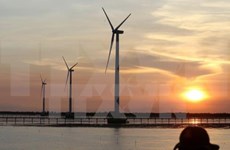 越南宁顺省加强风电和太阳能领域的国际合作