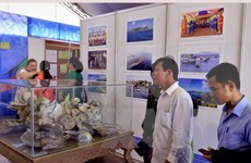 越南海洋与岛屿文化遗产展在广南省开展