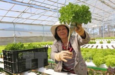 日本协助安江省发展农业  应对气候变化