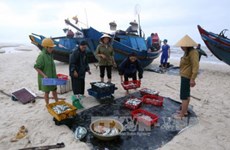 2017年越南海洋岛屿周：“绿色海洋经济”管理与发展