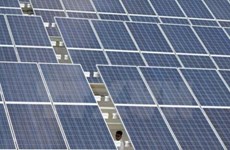 中盛光电集团希望在九龙江三角洲地区投资发展太阳能电池行业