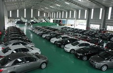 今年前5个月越南汽车进口量达4.33万辆