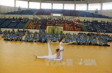 第三次国际瑜伽日在越南全国9个省市举行