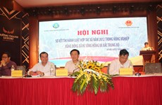 政府副总理王庭惠主持越南北部地区落实2012年《合作社法》小结会议 