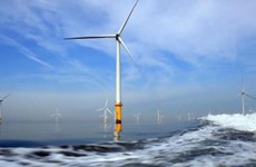 UPC Ranewables风电总公司对越南薄辽省的投资项目进行实地考察