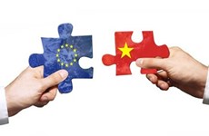 欧盟对越南直接投资前景巨大