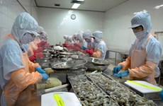 越南对韩国虾类出口呈现积极信号