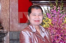 柬埔寨副首相梅森安：越南是柬埔寨伟大的朋友