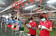今年下半年胡志明市可为劳动者提供13.9万个就业岗位