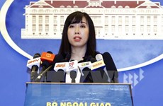 越南外交部发言人：越方强烈谴责一切绑架和残忍杀害行为