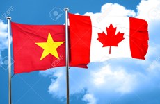 越南与加拿大举行首次政治磋商