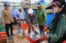 越南中部四省海洋环境质量总体稳定